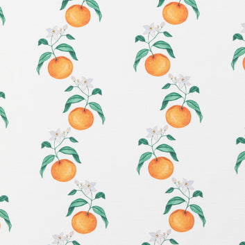 Orange Blossom Stripe Pillow: Indoor/Outdoor