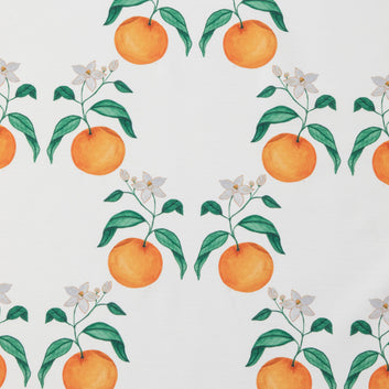 Orange Blossom Pillow: Indoor/Outdoor