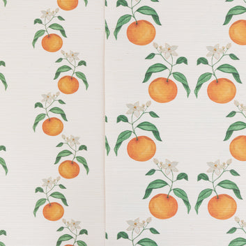 Orange Blossom Stripe Wallpaper