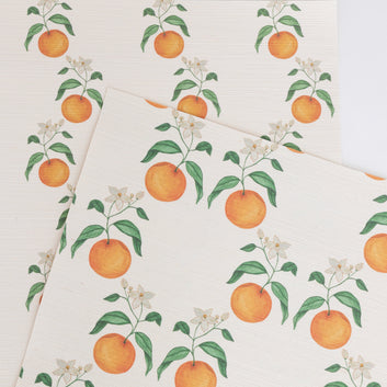 Orange Blossom Wallpaper