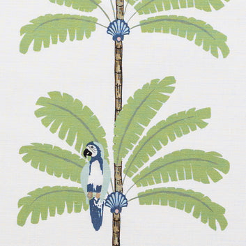 Macaw Palms
